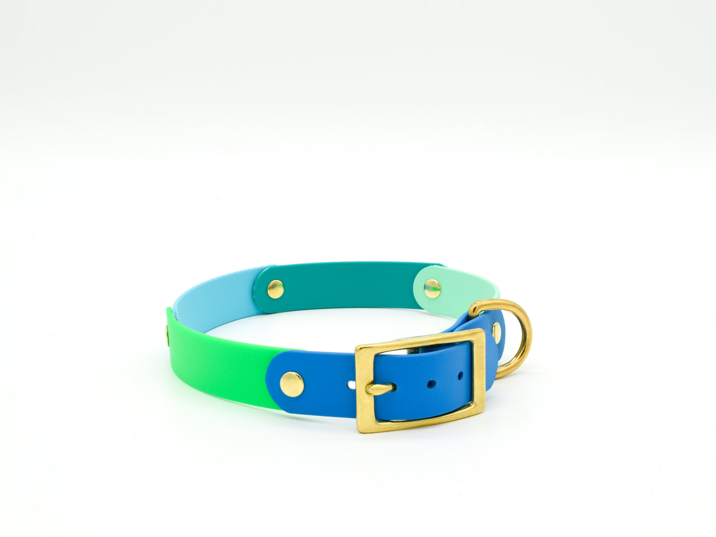 Autumn Waterproof Biothane Dog Collar