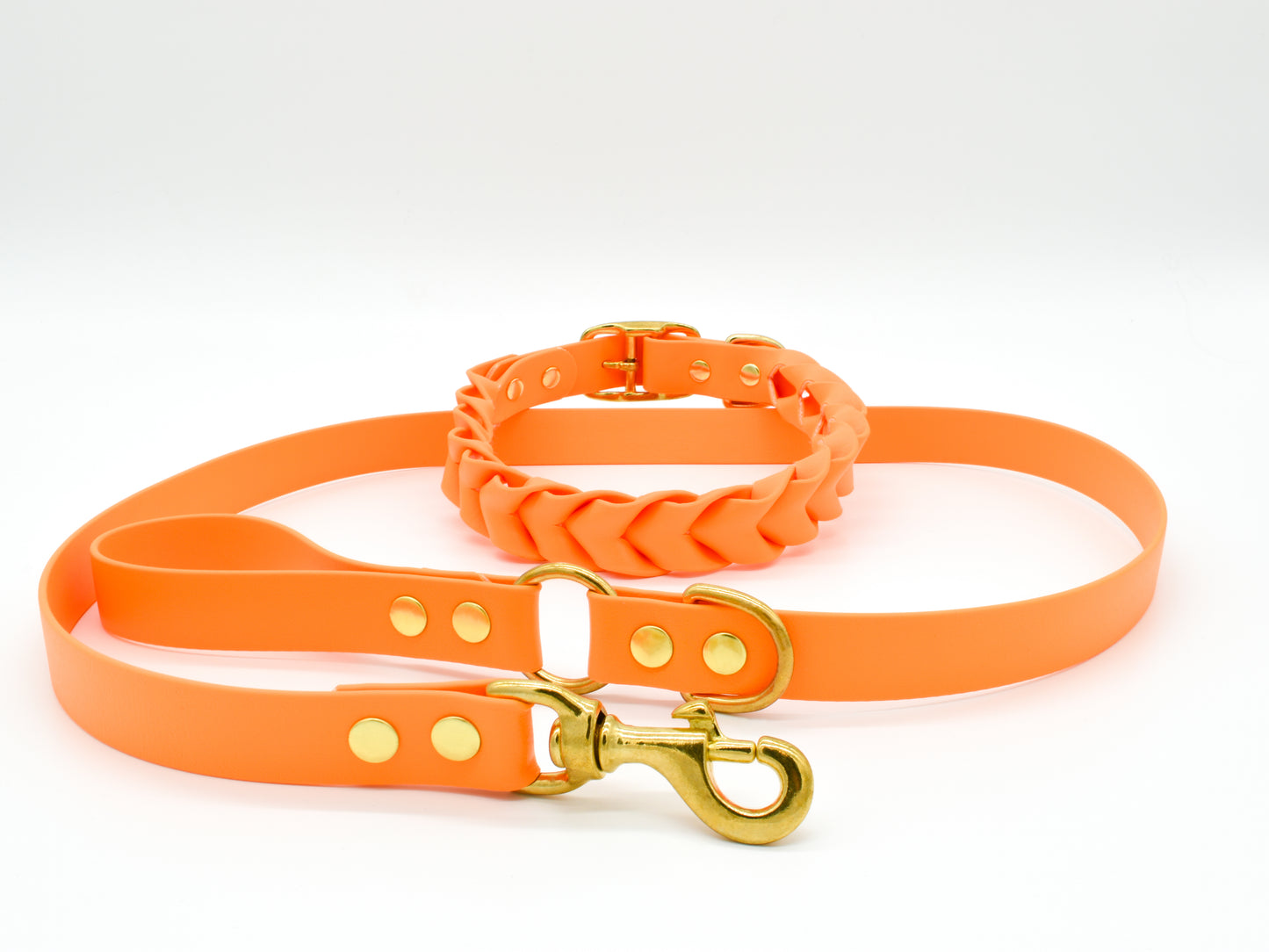 Orange dog leash and dog collar