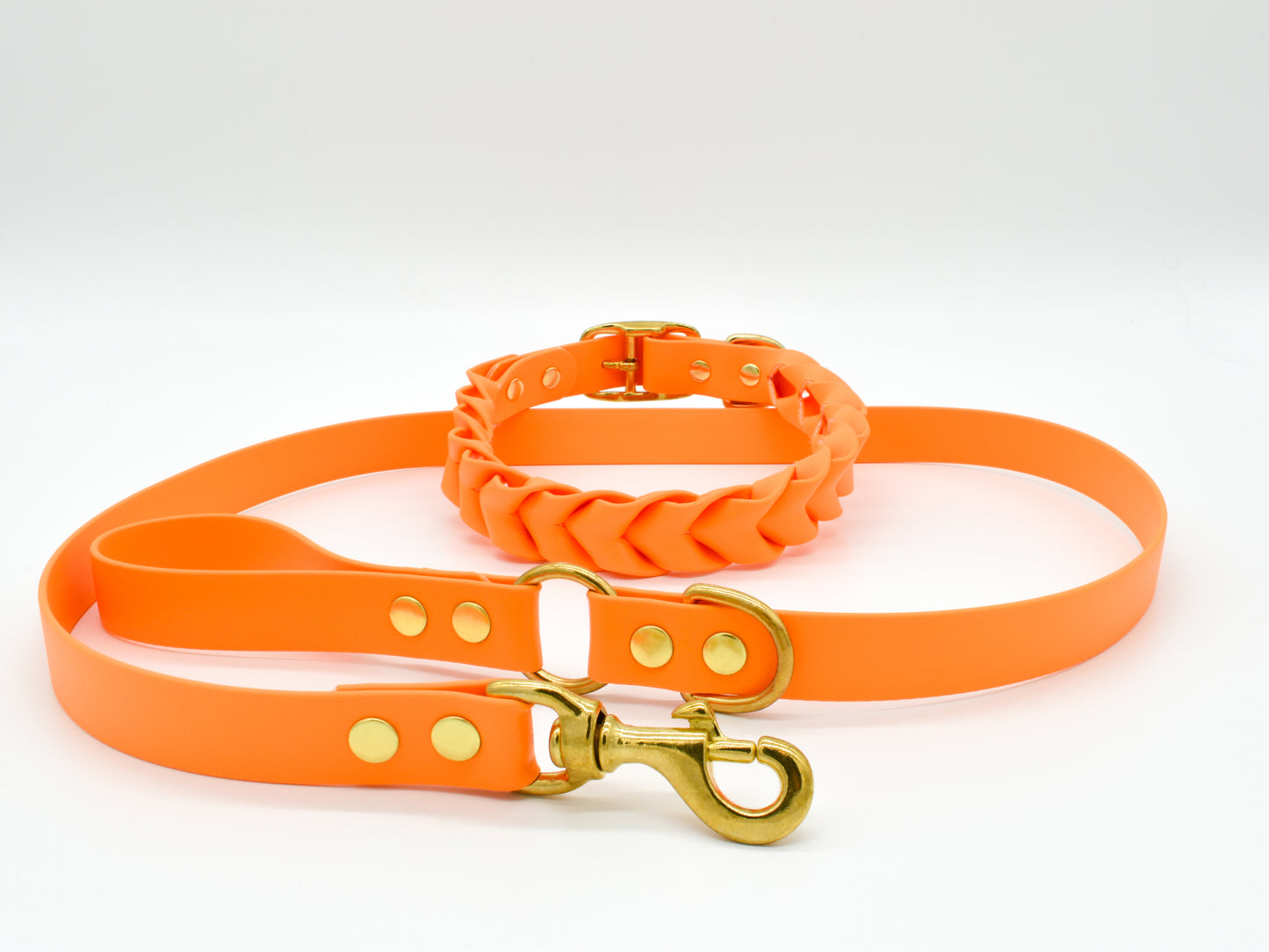 Orange dog leash and dog collar