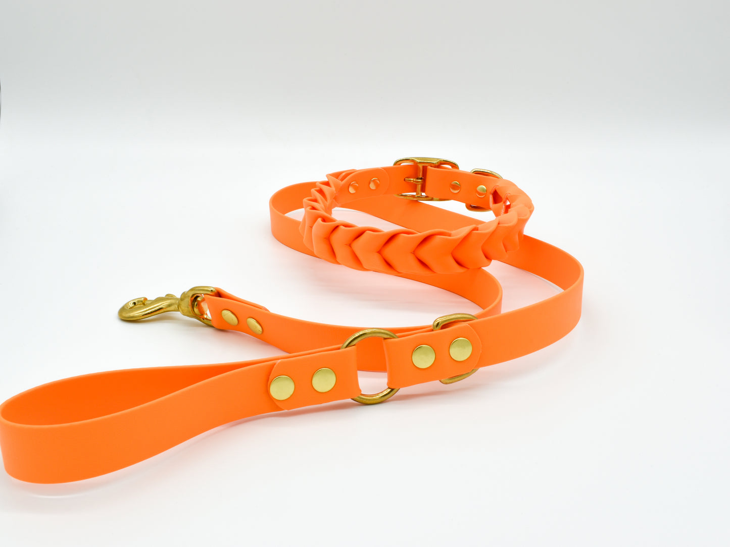 Orange dog leash and dog collar