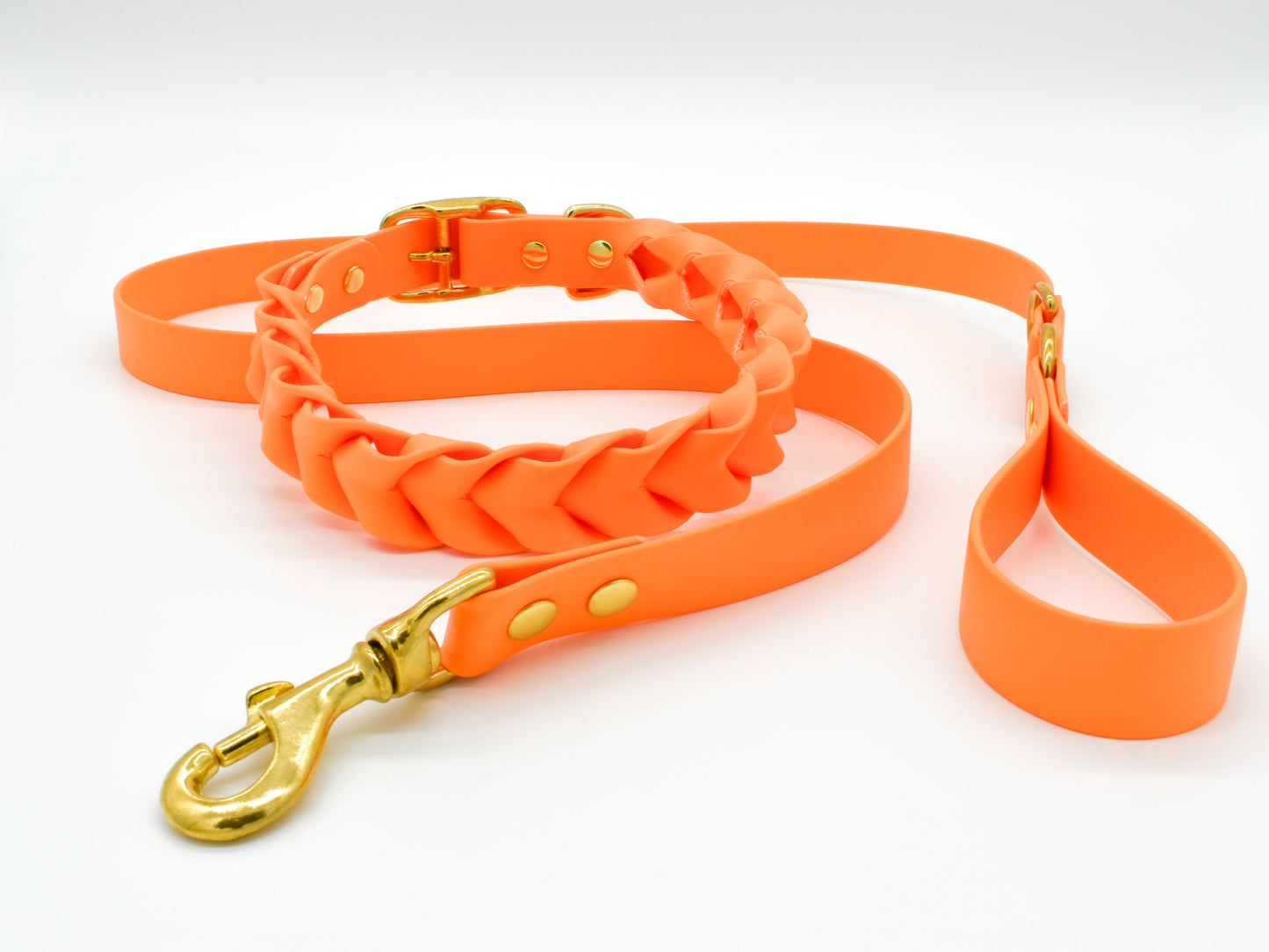 Orange dog leash and dog collar