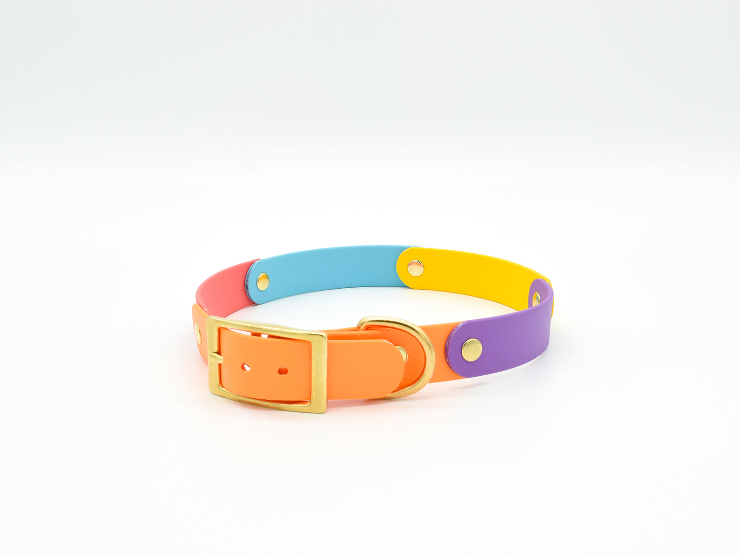 Tropical Waterproof Biothane Dog Collar Front Side