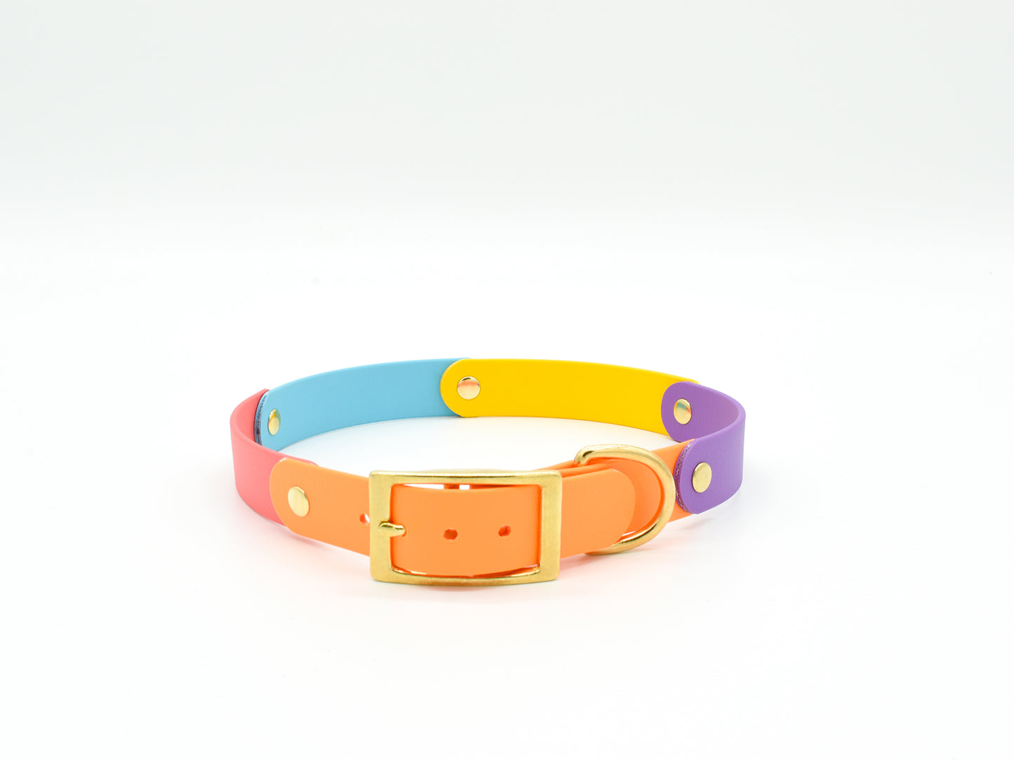 Tropical Waterproof Biothane Dog Collar Front View