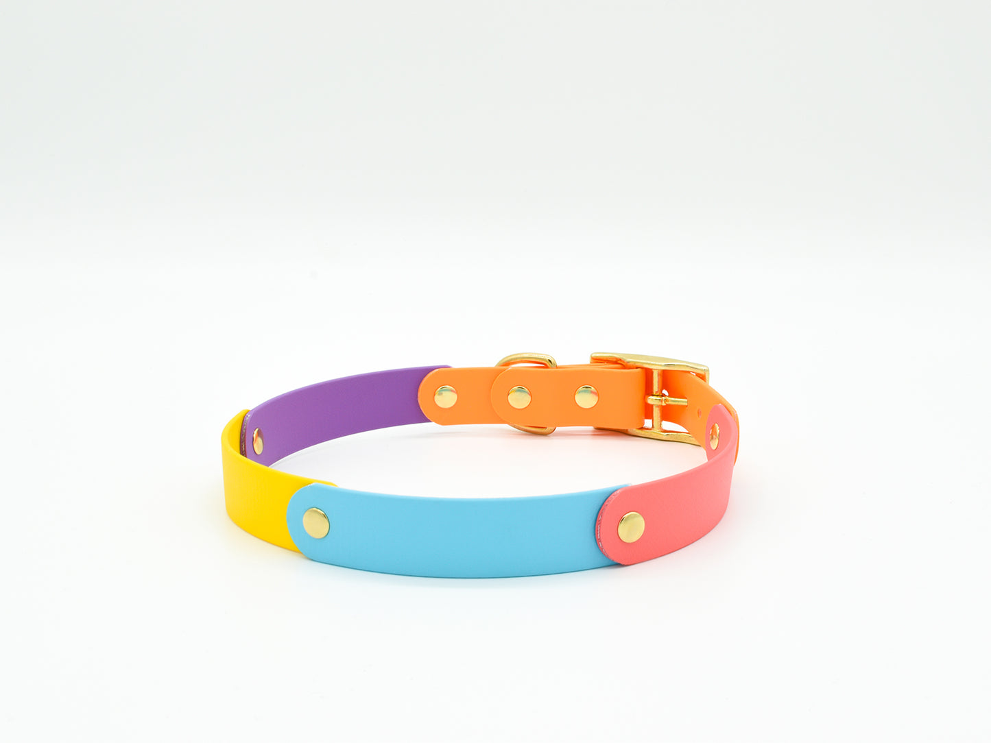 Tropical Waterproof Biothane Dog Collar Back Side