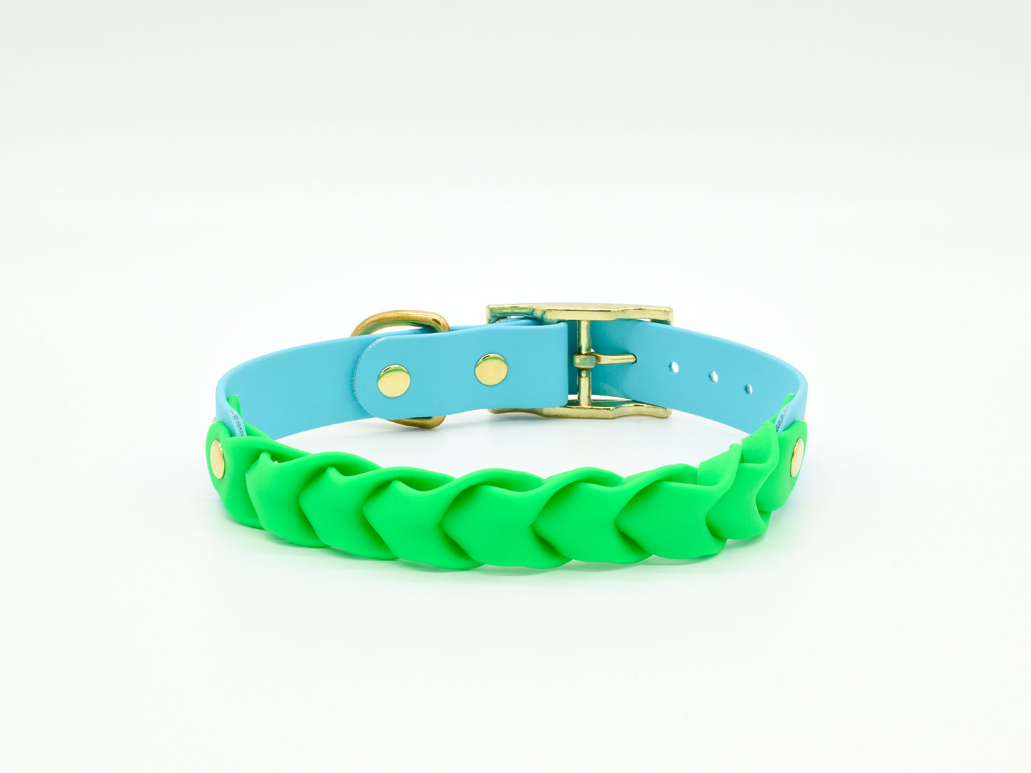 Lime Green and Blue Personalised Dog Collar Back Side
