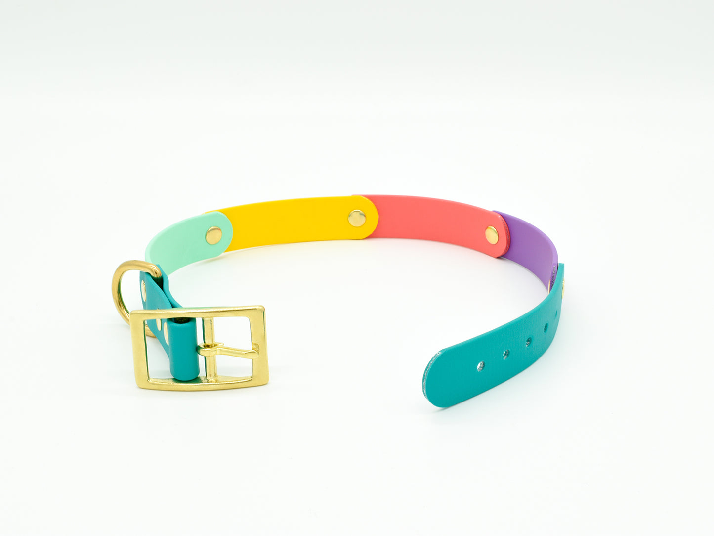 Fiesta Mix Biothane Dog Collar - Personalised Open