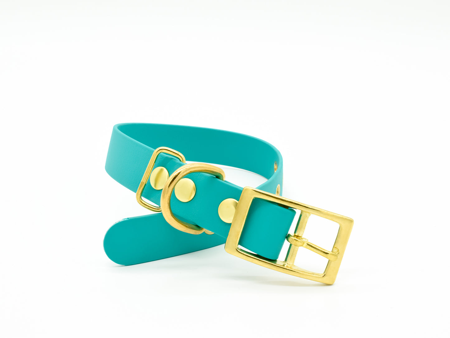 Turquoise Waterproof Biothane Dog Collar