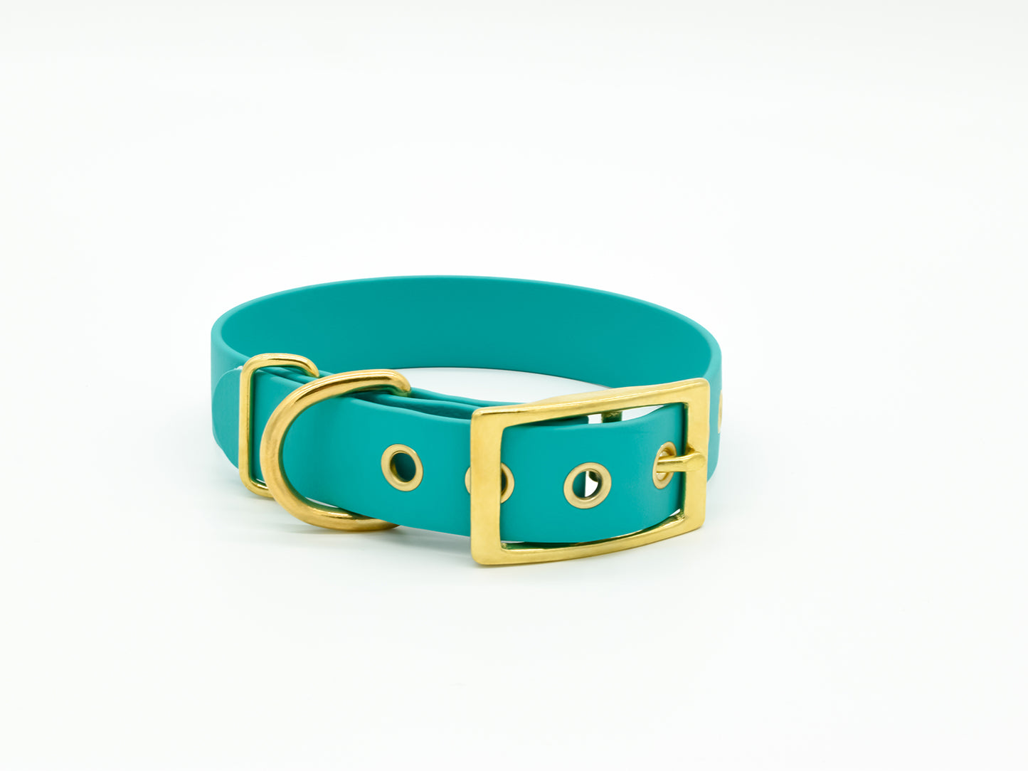 Turquoise Waterproof Biothane Dog Collar