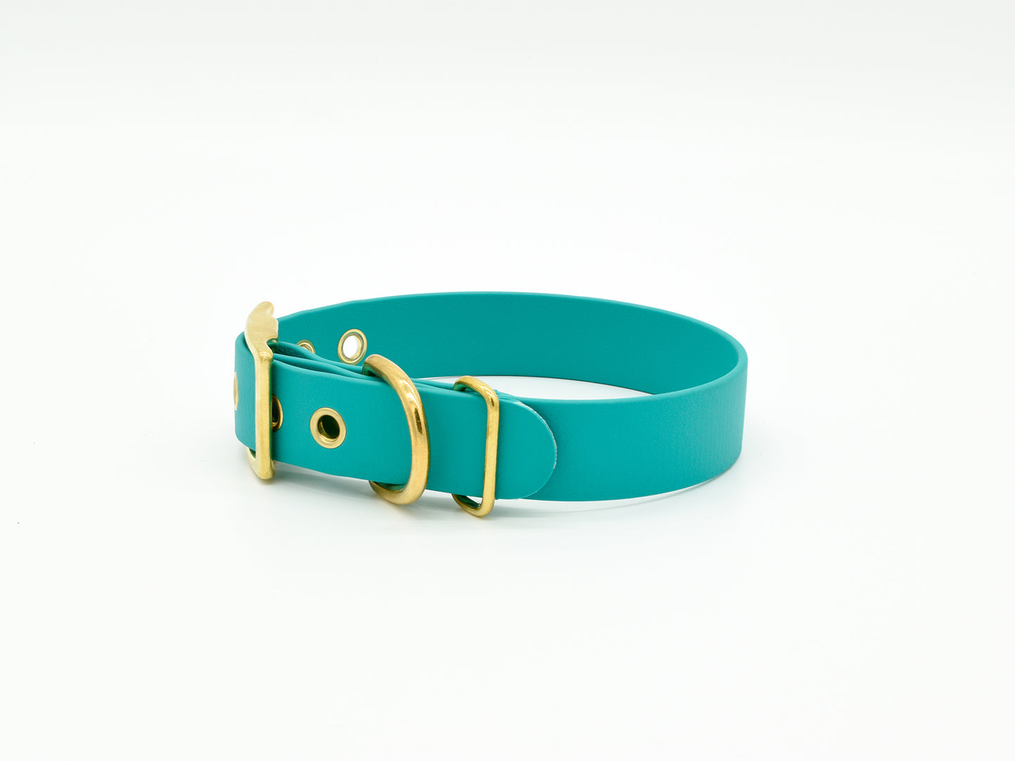 Turquoise Waterproof Biothane Dog Collar