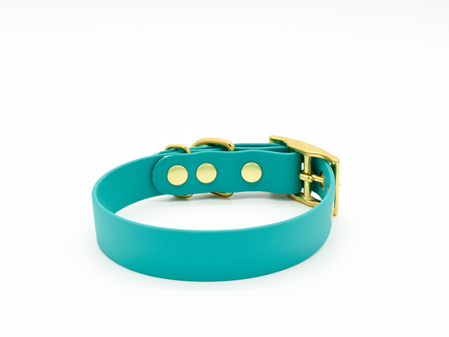 Turquoise Waterproof Biothane Dog Collar