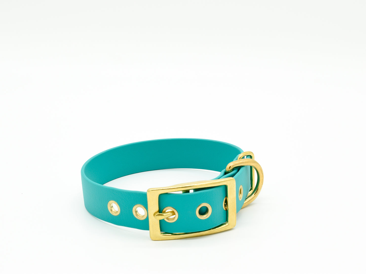Turquoise Waterproof Biothane Dog Collar