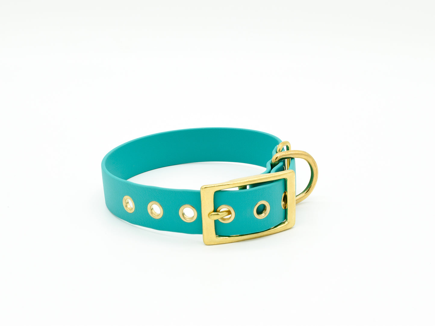Turquoise Waterproof Biothane Dog Collar