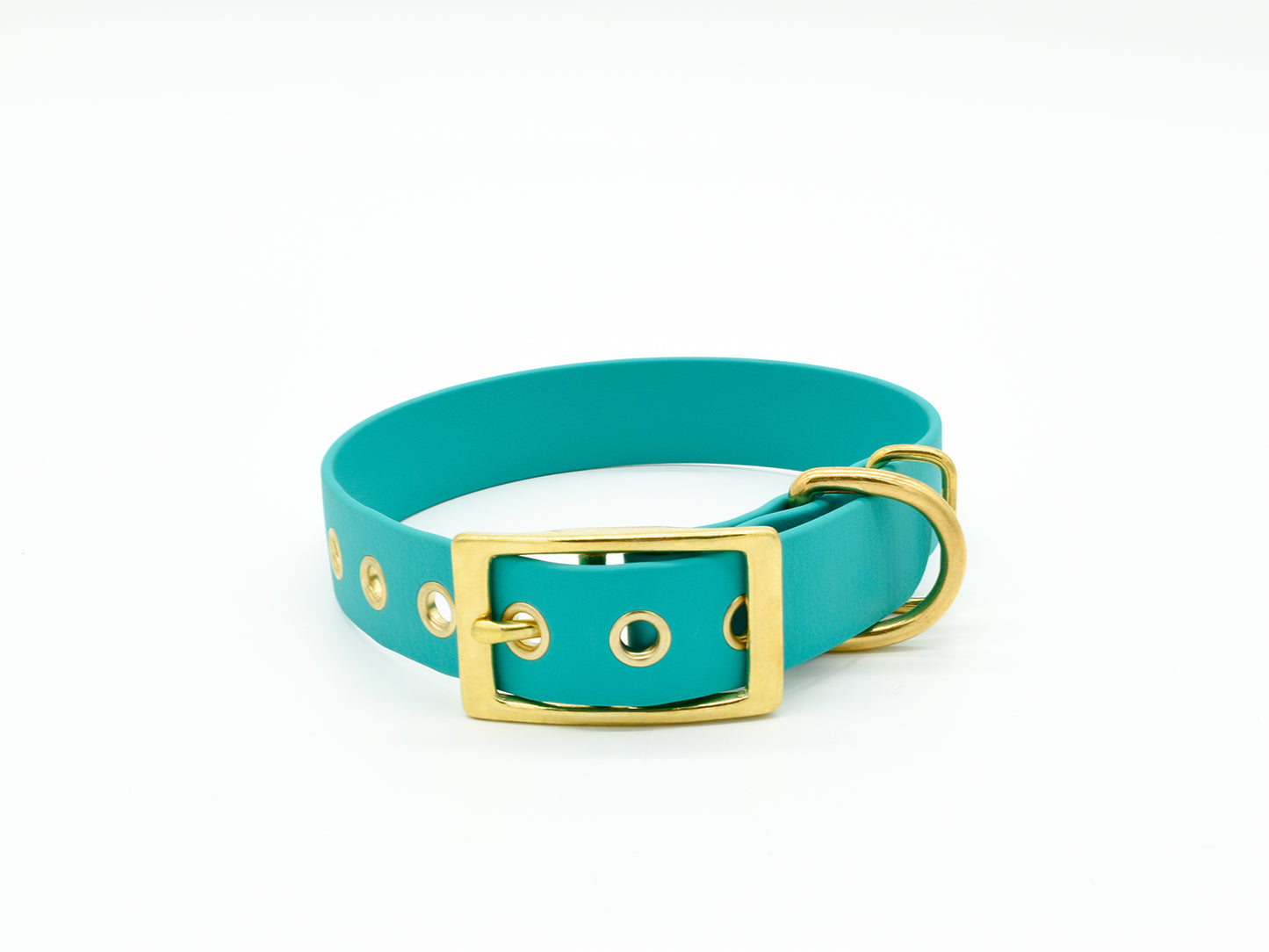 Turquoise Waterproof Biothane Dog Collar