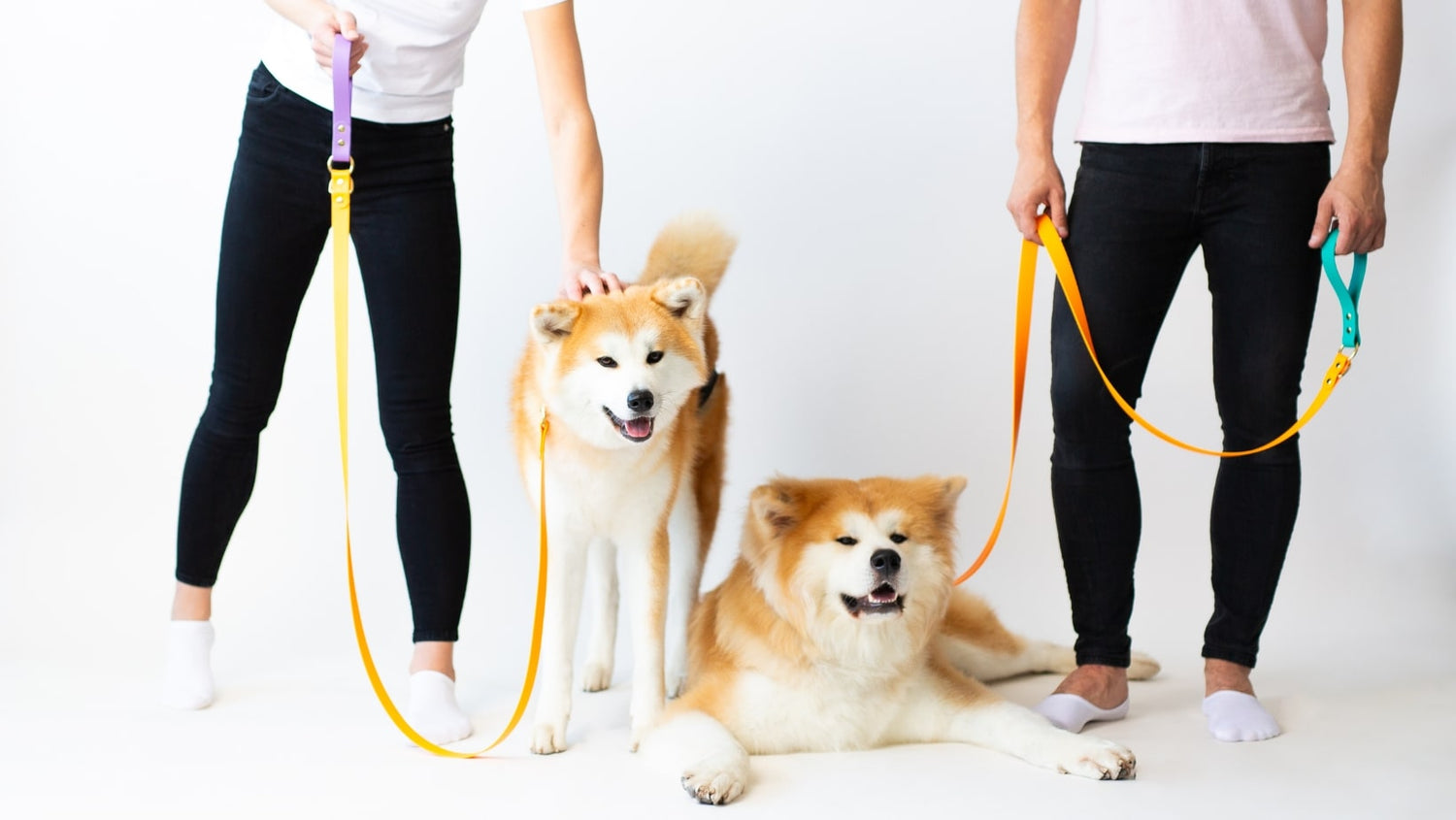 handmade dog collars and leashes