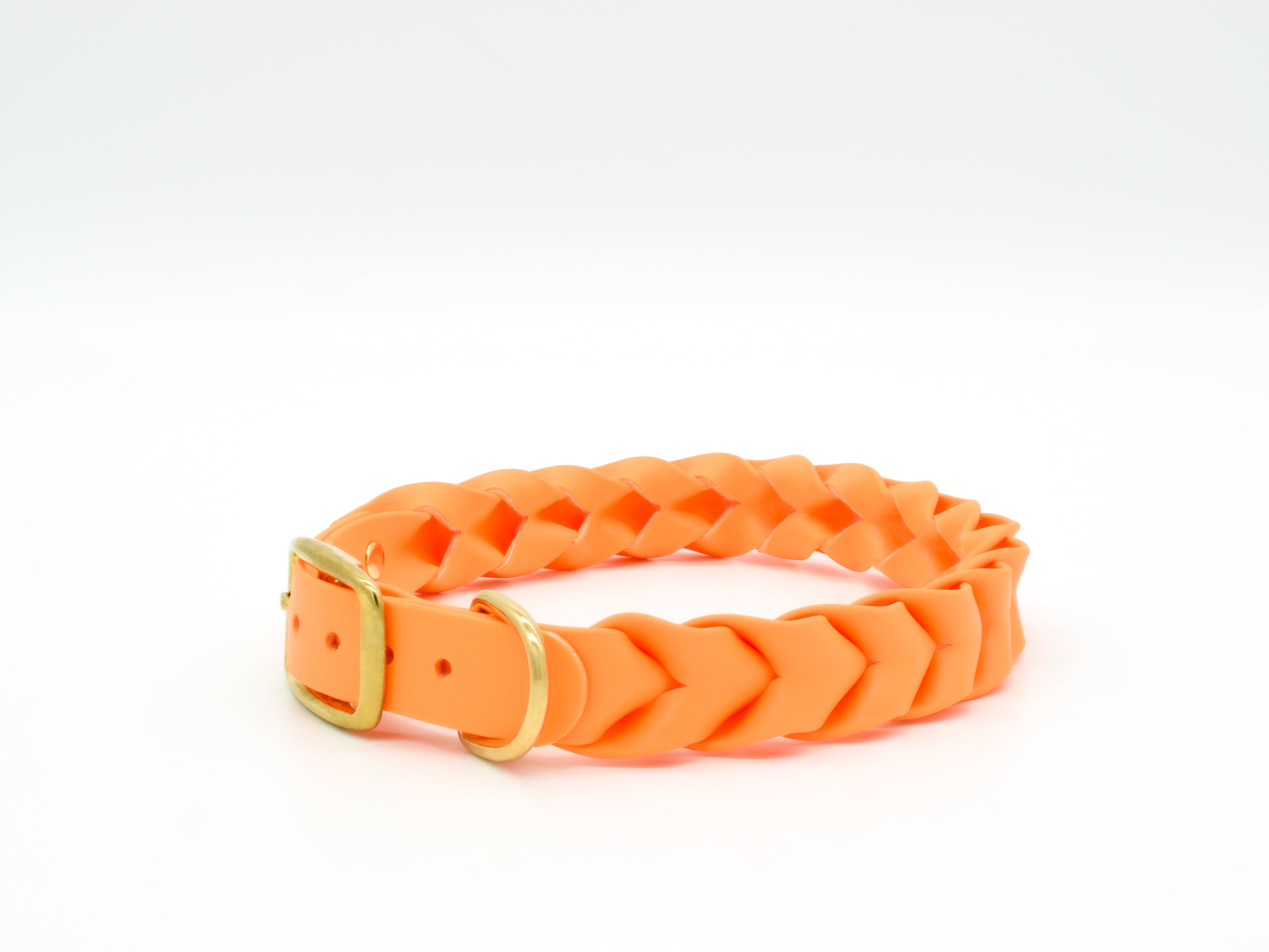 Orange dog outlet collar and leash