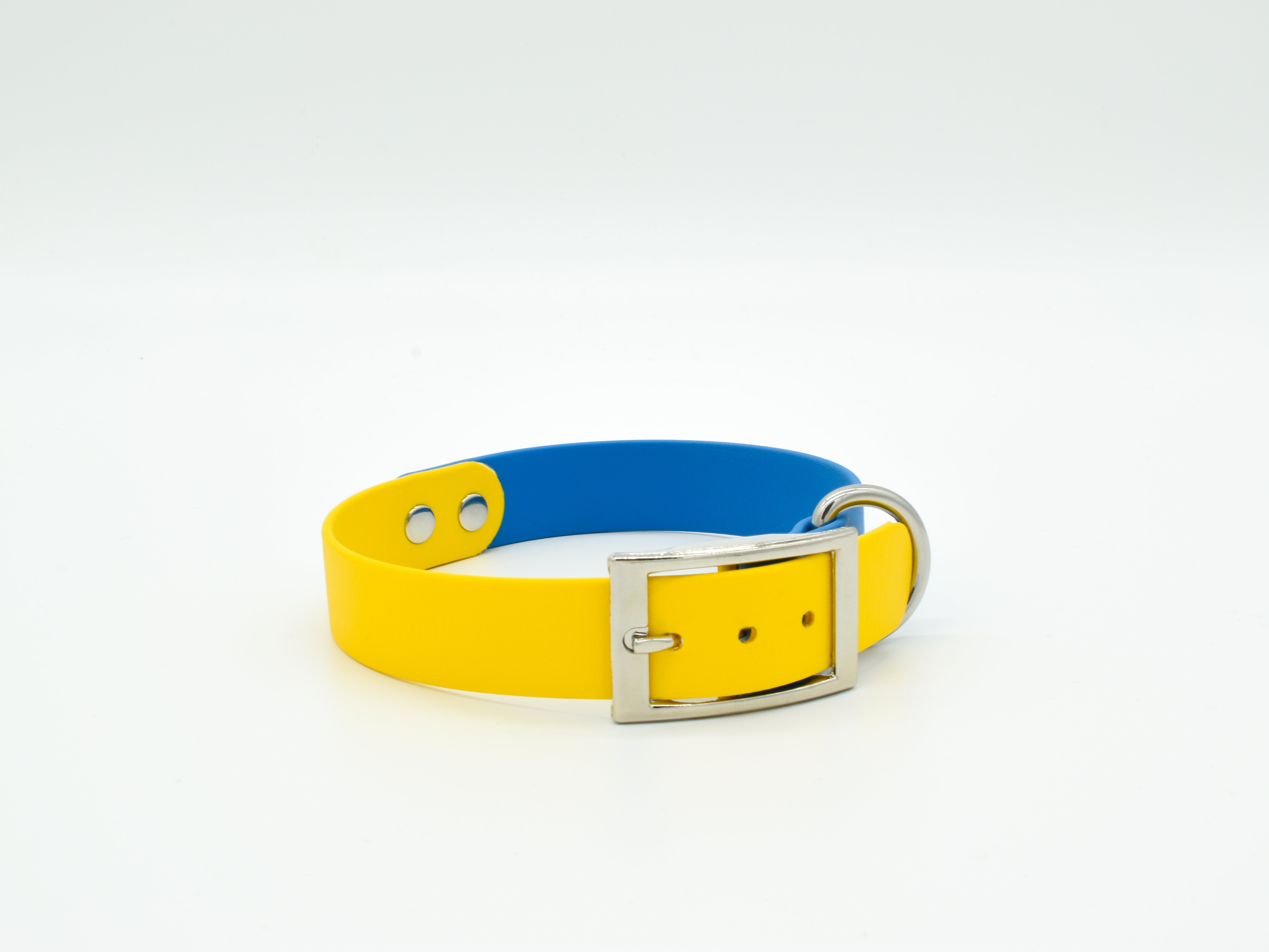 Blue and yellow dog collar best sale